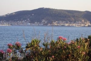 Niriides Resort_best deals_Hotel_Peloponesse_Lakonia_Gythio