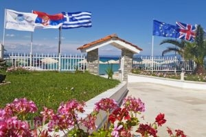 Athanasios Village Hotel_lowest prices_in_Hotel_Macedonia_Halkidiki_Haniotis - Chaniotis