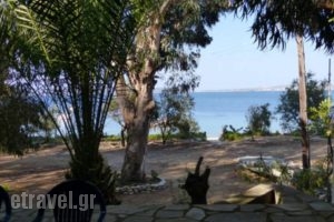 Agrilia Home_lowest prices_in_Hotel_Macedonia_Halkidiki_Ormos Panagias