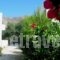 Kosmos Studios_lowest prices_in_Hotel_Dodekanessos Islands_Tilos_Tilos Chora