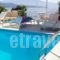 Aleka's House_lowest prices_in_Hotel_Ionian Islands_Lefkada_Lefkada Chora