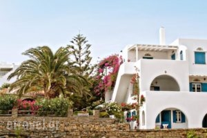 Porto Kalma_accommodation_in_Hotel_Cyclades Islands_Tinos_Tinosora