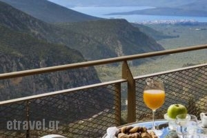 Nidimos Hotel_accommodation_in_Hotel_Central Greece_Fokida_Delfi