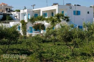 Mira Mare Studios_holidays_in_Hotel_Dodekanessos Islands_Lipsi_Lipsi Chora