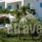 Mira Mare Studios_best deals_Hotel_Dodekanessos Islands_Lipsi_Lipsi Chora