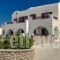 William'S Houses_holidays_in_Hotel_Cyclades Islands_Sandorini_Sandorini Chora