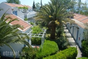 Aegeon Hotel_accommodation_in_Hotel_Aegean Islands_Lesvos_Tavari