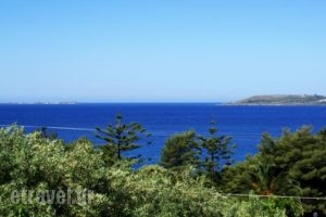 Oskars Studios_holidays_in_Hotel_Ionian Islands_Kefalonia_Argostoli