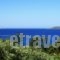 Oskars Studios_holidays_in_Hotel_Ionian Islands_Kefalonia_Argostoli