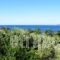 Oskars Studios_best deals_Hotel_Ionian Islands_Kefalonia_Argostoli