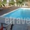 Studios Haido_best deals_Hotel_Macedonia_Halkidiki_Chalkidiki Area