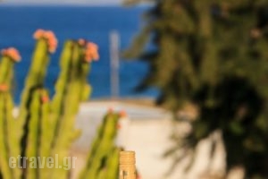 Nicos Studios & Apartments_travel_packages_in_Cyclades Islands_Paros_Paros Chora