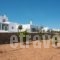 Villa Golden View_best prices_in_Villa_Cyclades Islands_Antiparos_Antiparos Chora