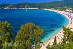 Villa Apollo_holidays_in_Villa_Epirus_Preveza_Parga