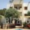 Vrisi Apartments & Villa_accommodation_in_Villa_Crete_Heraklion_Tymbaki