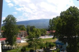 Hotel Lefkes_best prices_in_Hotel_Macedonia_Pieria_Dion