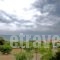 Siviri Rooms_best deals_Room_Macedonia_Halkidiki_Kassandreia