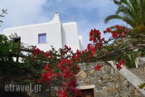 Tagoo Studios_holidays_in_Hotel_Cyclades Islands_Mykonos_Mykonos Chora