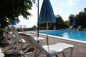 Drosia Rooms_holidays_in_Room_Ionian Islands_Kefalonia_Kefalonia'st Areas