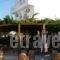 Alexandra Rooms_travel_packages_in_Crete_Heraklion_Malia