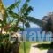 Panorama Beach_best prices_in_Hotel_Thessaly_Magnesia_Pilio Area