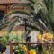 Irini Hotel_best deals_Hotel_Aegean Islands_Lesvos_Vatera