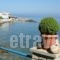 Alkioni Studios_best prices_in_Hotel_Aegean Islands_Samos_Karlovasi