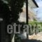 Litsa Haus_best deals_Hotel_Macedonia_Thessaloniki_Thessaloniki City