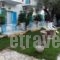 Oceanis Rooms_best deals_Room_Ionian Islands_Kefalonia_Fiskardo