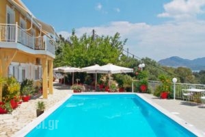 Aleka's House_holidays_in_Hotel_Ionian Islands_Lefkada_Lefkada Chora