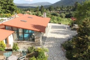 Boutique Hotel'S Kamnos_accommodation_in_Hotel_Central Greece_Fokida_Delfi