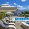 Villa Plumeria Flower_holidays_in_Villa_Crete_Chania_Akrotiri