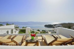 Paolas Beach_best deals_Hotel_Cyclades Islands_Mykonos_Mykonos Chora