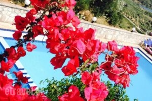 Marika Studios & Apartments_best deals_Apartment_Crete_Chania_Vryses Apokoronas