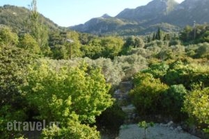 Stella Bay Rooms_accommodation_in_Room_Aegean Islands_Samos_Samos Rest Areas