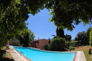 Wildrose Corfu Apartments_best deals_Apartment_Ionian Islands_Corfu_Corfu Rest Areas