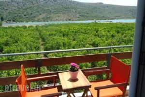 Ktima Klimentini_accommodation_in_Hotel_Peloponesse_Arcadia_Astros