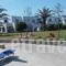 Skiros Palace Hotel_best prices_in_Hotel_Sporades Islands_Skyros_Skyros Chora