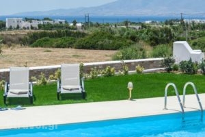 Sea & Olives Villas_best prices_in_Villa_Cyclades Islands_Naxos_Naxos chora