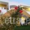 Anemones Studios & Apartments_best deals_Apartment_Dodekanessos Islands_Kos_Kos Rest Areas