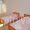 Eva Apartments_best deals_Apartment_Aegean Islands_Thasos_Limenaria