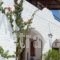 Stefanos Katsaros Studios_accommodation_in_Hotel_Dodekanessos Islands_Patmos_Skala