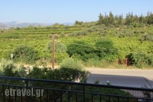 Apartments Rania_accommodation_in_Apartment_Peloponesse_Argolida_Tolo