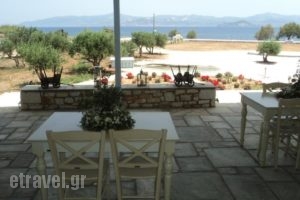 Ambelas Mare Apartments_best deals_Apartment_Cyclades Islands_Paros_Paros Chora