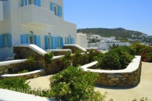 Hotel Eleftheria_holidays_in_Hotel_Cyclades Islands_Mykonos_Mykonos Chora