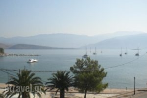 Pension Hirolakas_travel_packages_in_Central Greece_Fokida_Galaxidi