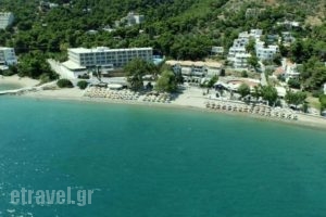 New Aegli Hotel_accommodation_in_Hotel_Piraeus islands - Trizonia_Trizonia_Trizonia Rest Areas