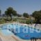 Lito Beach Hotel_accommodation_in_Hotel_Crete_Chania_Kolympari