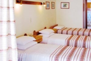 Katerina_best prices_in_Hotel_Central Greece_Evia_Edipsos