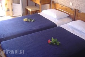 Paradise Hotel_travel_packages_in_Aegean Islands_Samos_Samosst Areas